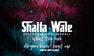 Shatta Wale What Do You Know About Me